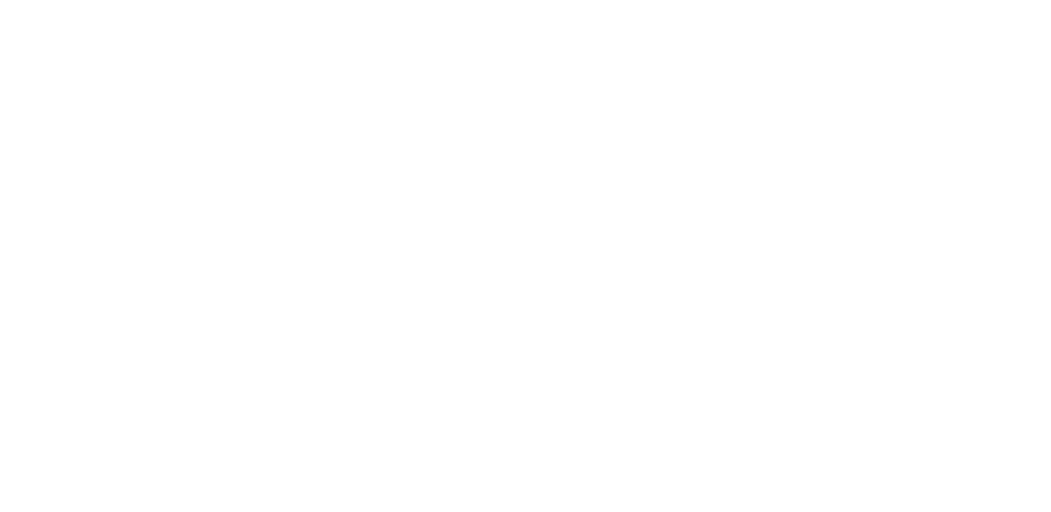 Metalcrue